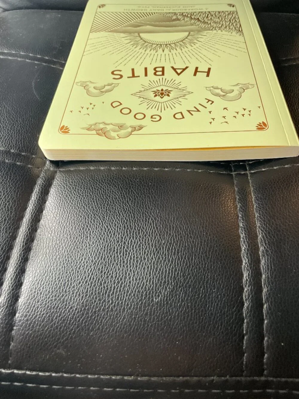 Find Good Habits Workbook Paperback